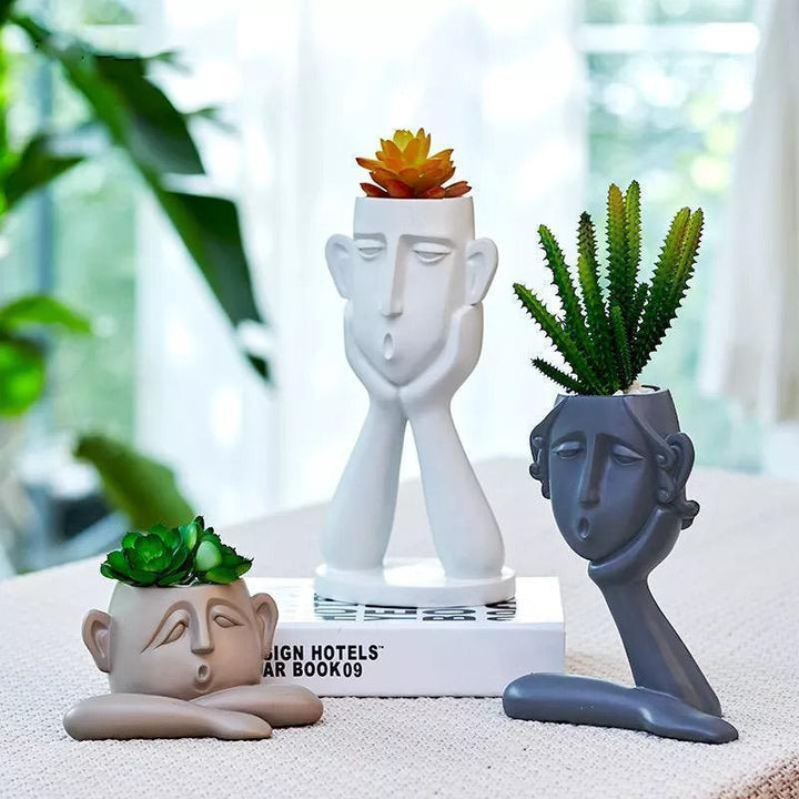 Trío de plantadores │ EDICIÓN LIMITADA PREMIUM
