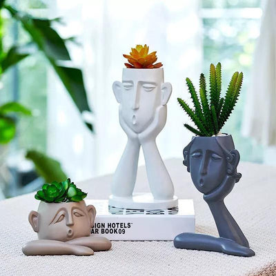 Trío de plantadores │ EDICIÓN LIMITADA PREMIUM