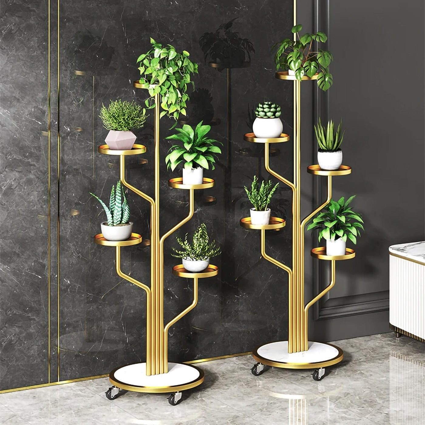 The Verdant │ EDICIÓN LIMITADA PREMIUM