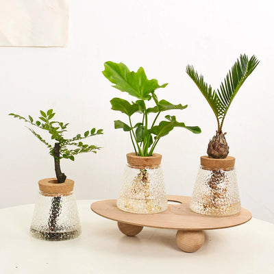 Hydroponic Propagation │ EDICIÓN LIMITADA PREMIUM
