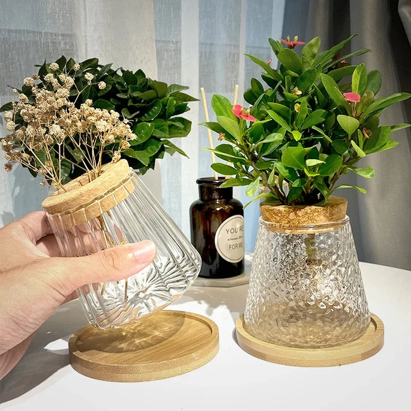 Hydroponic Propagation │ EDICIÓN LIMITADA PREMIUM