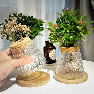 Hydroponic Propagation │ EDICIÓN LIMITADA PREMIUM