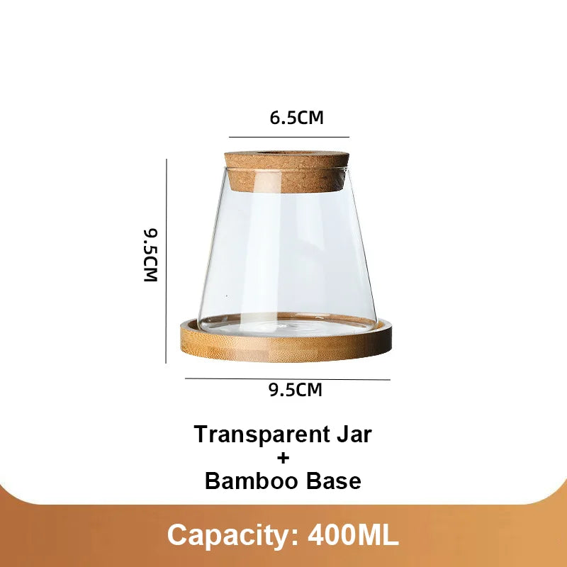 Hydroponic Propagation │ EDICIÓN LIMITADA PREMIUM