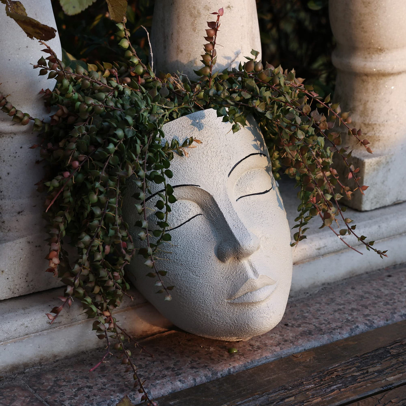 Jardinera de pared │ EDICIÓN LIMITADA PREMIUM