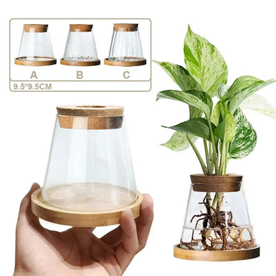 Hydroponic Propagation │ EDICIÓN LIMITADA PREMIUM
