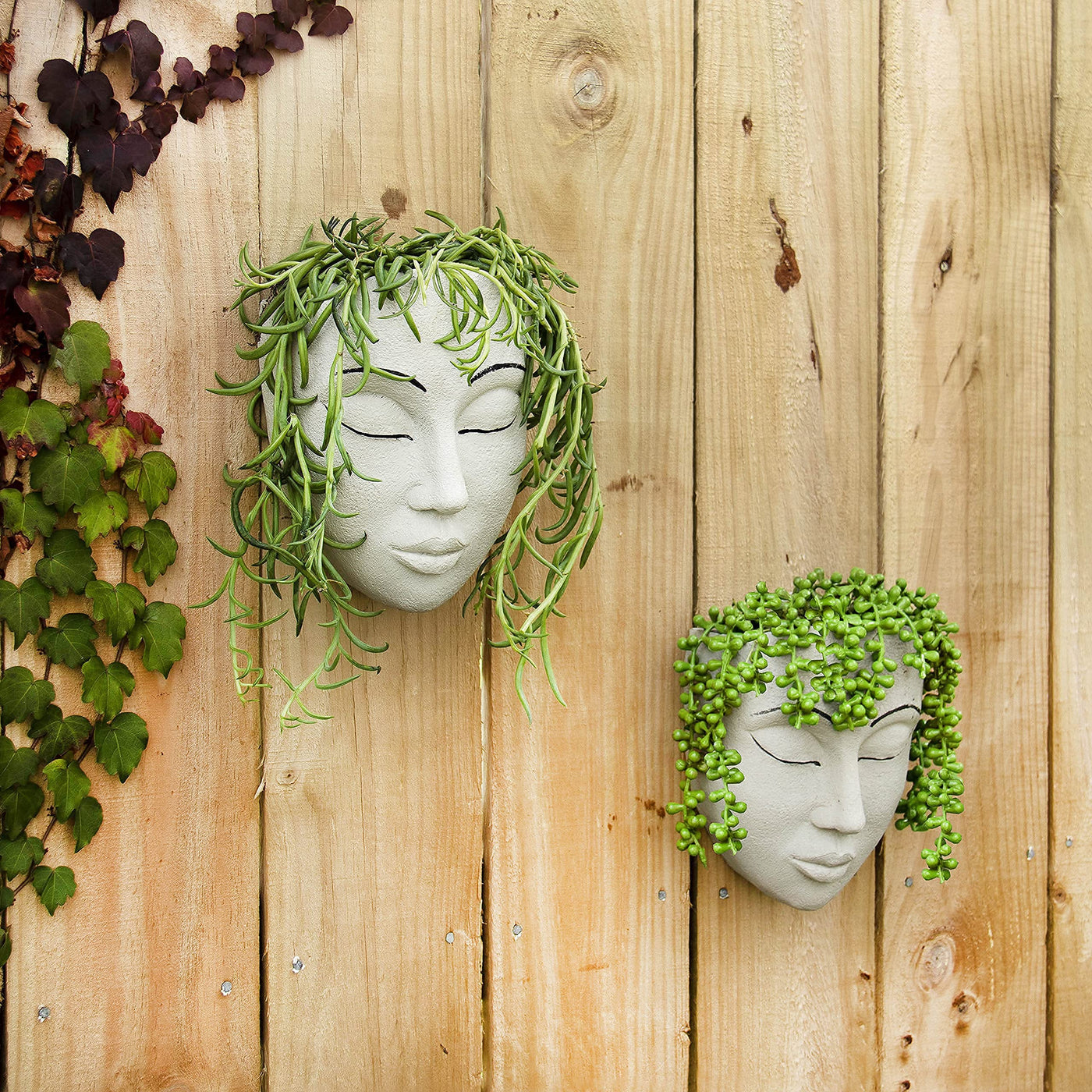 Jardinera de pared │ EDICIÓN LIMITADA PREMIUM