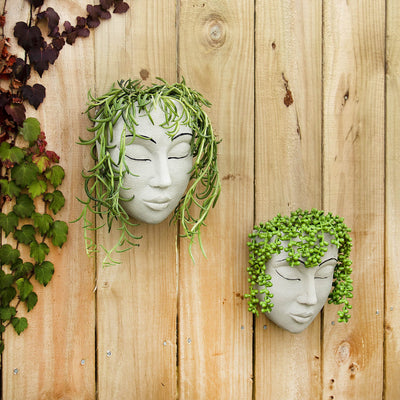 Jardinera de pared │ EDICIÓN LIMITADA PREMIUM