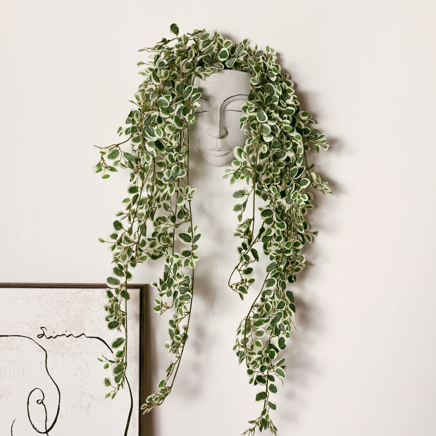 Jardinera de pared │ EDICIÓN LIMITADA PREMIUM