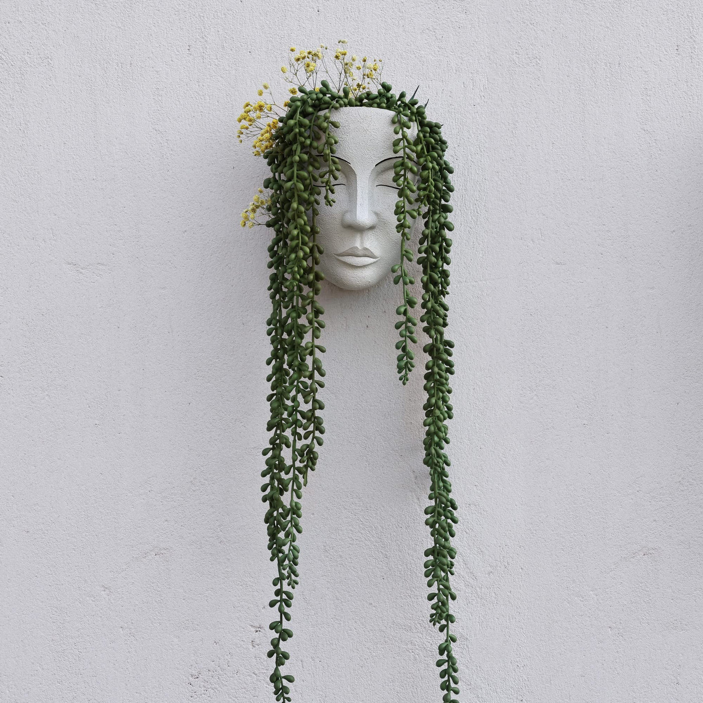 Jardinera de pared │ EDICIÓN LIMITADA PREMIUM