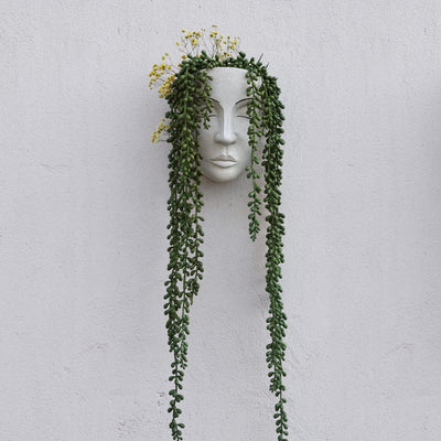 Jardinera de pared │ EDICIÓN LIMITADA PREMIUM
