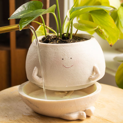 Self Watering │ EDICIÓN LIMITADA PREMIUM