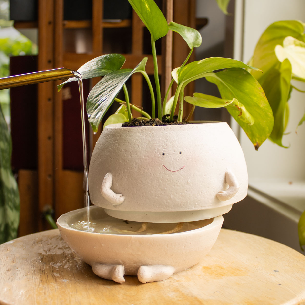 Self Watering │ EDICIÓN LIMITADA PREMIUM