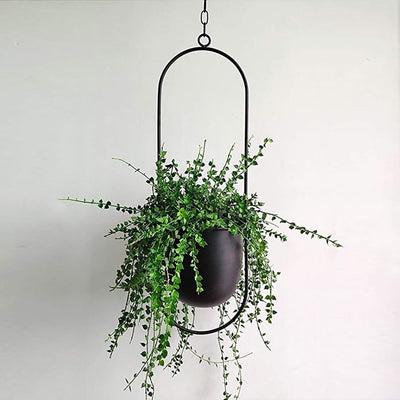 Jardineras colgantes │ EDICIÓN LIMITADA PREMIUM