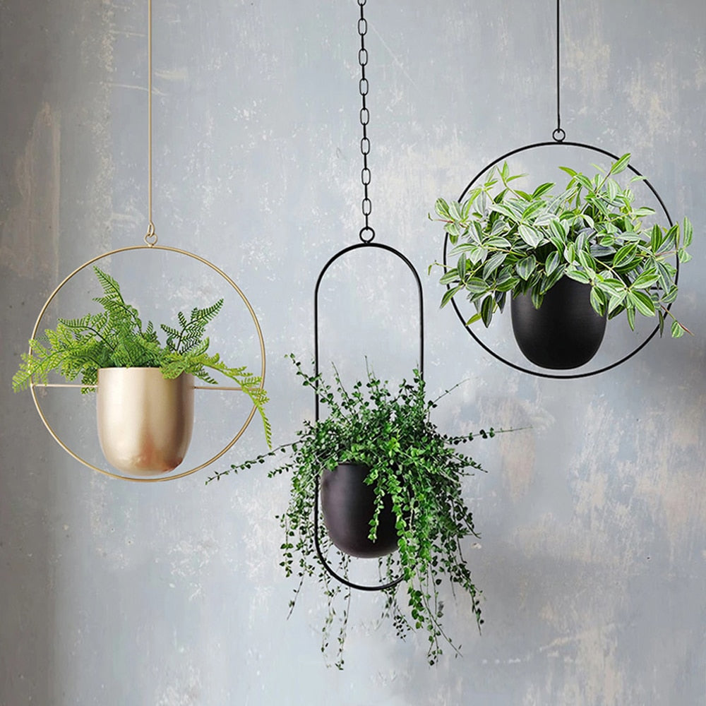 Jardineras colgantes │ EDICIÓN LIMITADA PREMIUM